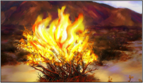 The Burning Bush