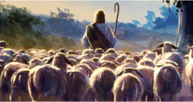 4th Sunday of Easter - May 3rd, 2020