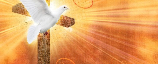 Reflection – Come Holy Spirit…