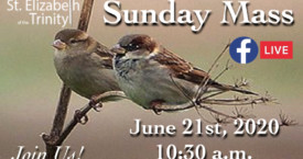 12th Sunday in OT - June 21st, 2020