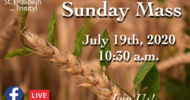 16th Sunday in OT - July 19th, 2020