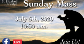 14th Sunday in OT - July 5th, 2020