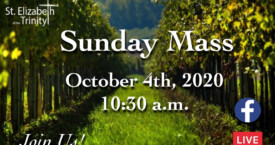 27th Sunday in OT - Oct 4th, 2020