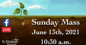 11th Sunday in OT - June 13th, 2021