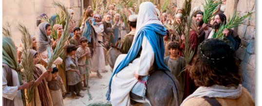 Homily – Palm Sunday of the Passion of the Lord – April 10th, 2022