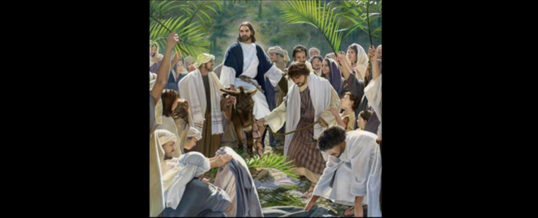 Homily – March 24, 2024 – Palm Sunday