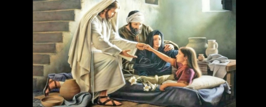 Homily – June 30th, 2024 – 13th Sunday of Ordinary Time