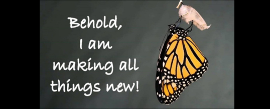 Homily – May 18th, 2025 – 5th Sunday of Easter