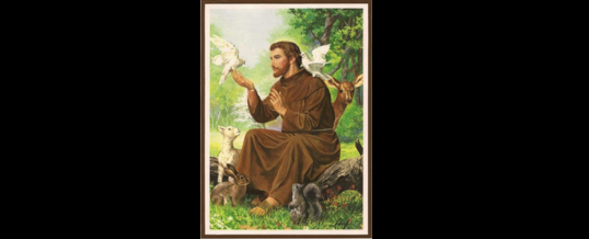 Reflection – June 15th, 2025 – Trinity Sunday