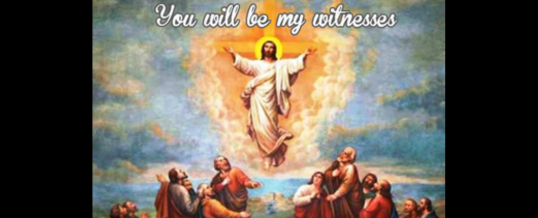 Homily – June 1st, 2025 – The Ascension