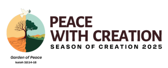 Reflection – Seasion of Creation 2025 – Fr. Phil Mulligan