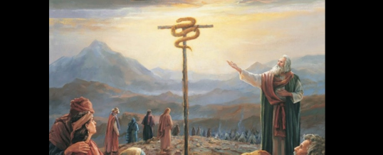 Homily – September 14th, 2025 – Exultation of the Holy Cross