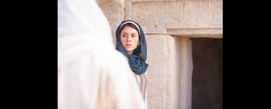 Homily for Sunday, April 5, 2026 (Easter morning)