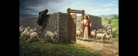 Homily for April 26, 2026, 4th Sunday of Lent